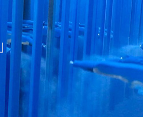 貨架 室外粉噴涂